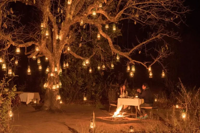Read more about the article The Baghvan Taj Safari Lodge, Pench