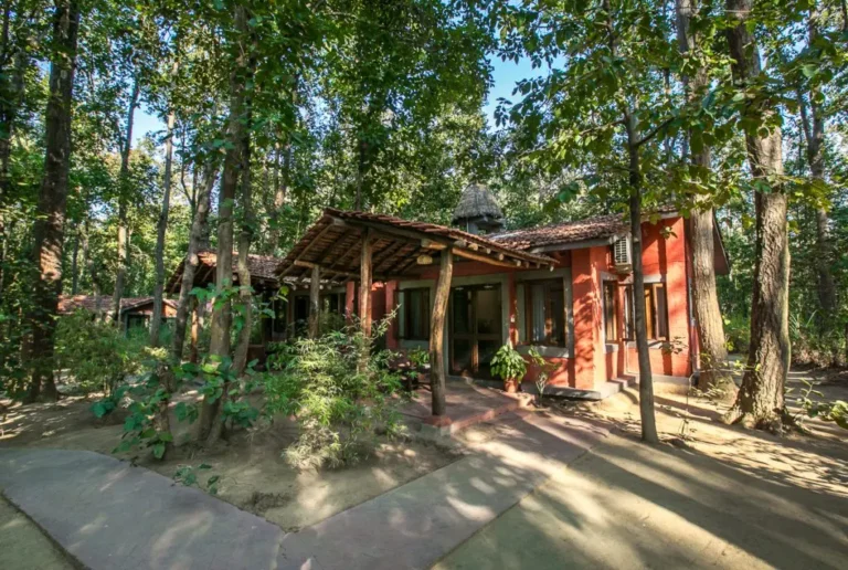 Read more about the article Kanha Jungle Lodge – Kanha