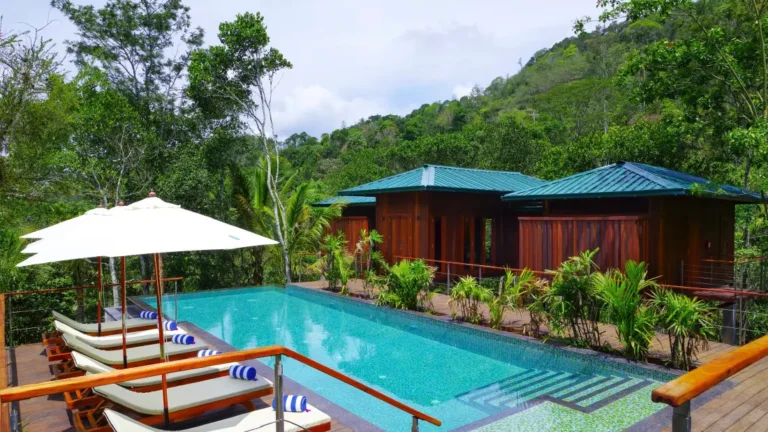 Read more about the article Niraamaya Thekkady