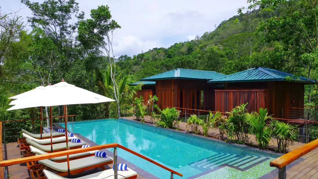 You are currently viewing Niraamaya Thekkady