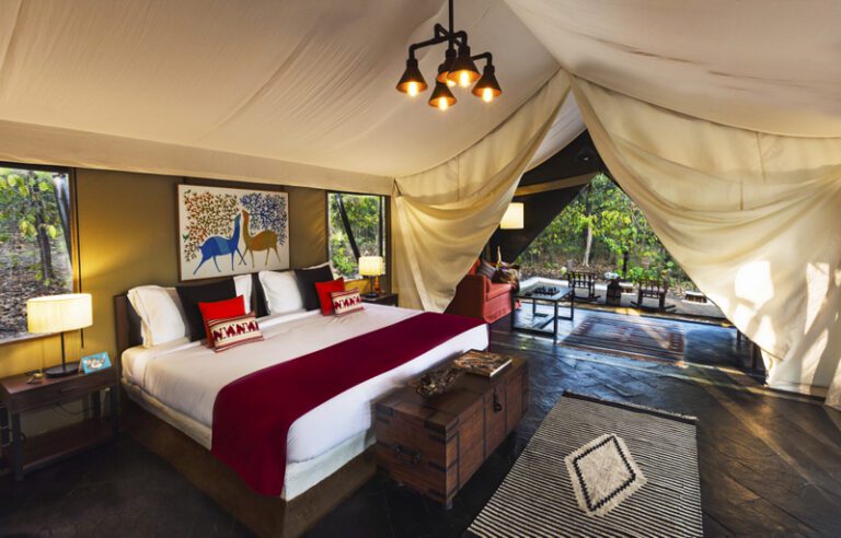 Read more about the article ​​Reni Pani Jungle Lodge