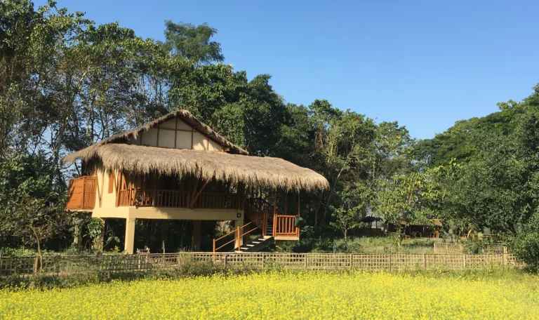 Read more about the article Kaziranga – Diphlu River Lodge
