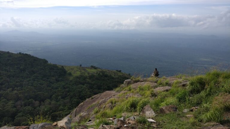 Read more about the article The Western Ghats