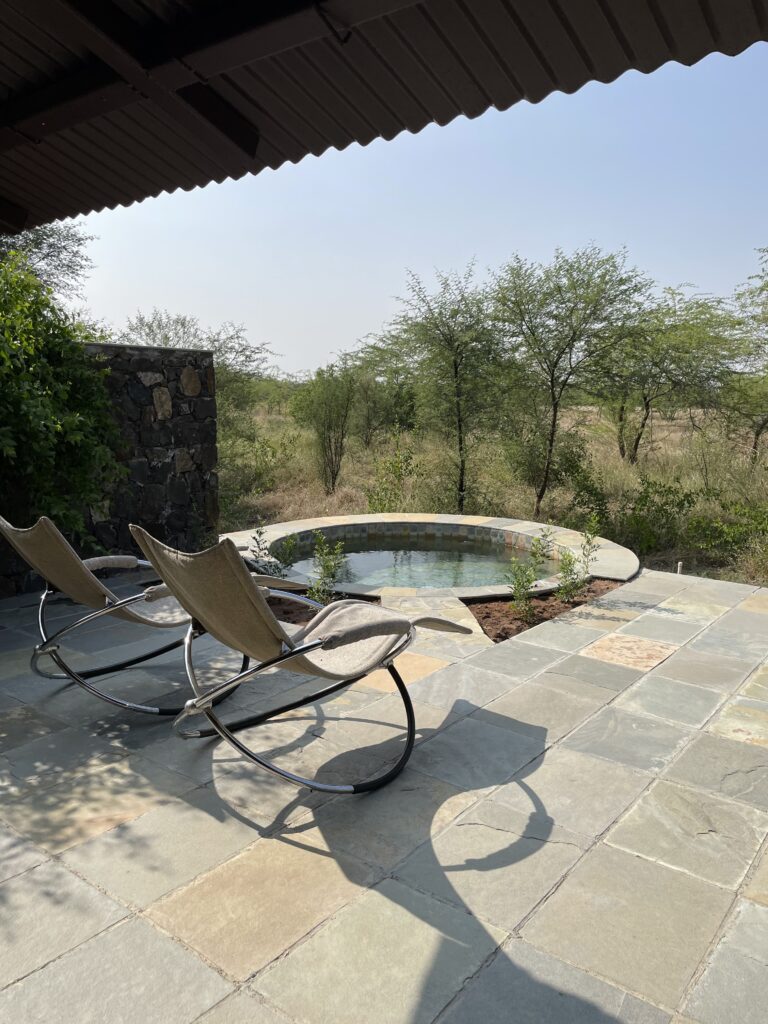 Read more about the article The Blackbuck Lodge, Velavadar