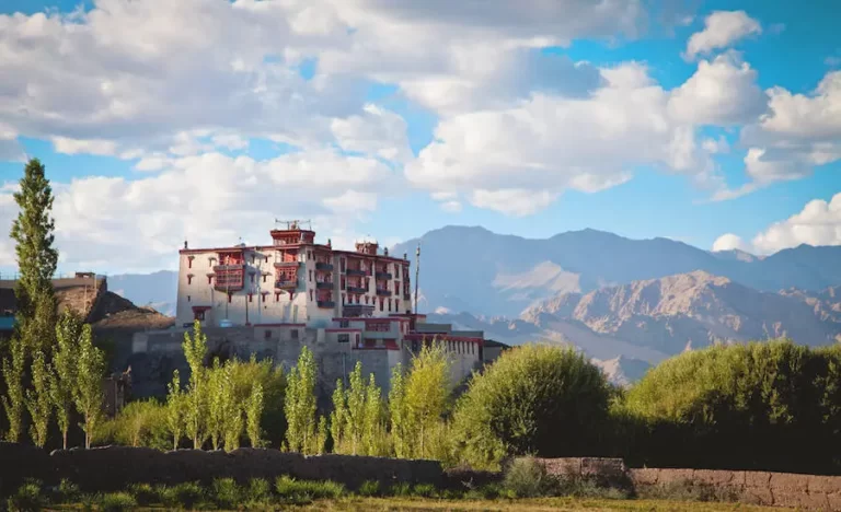 Read more about the article Stok Palace, Stok