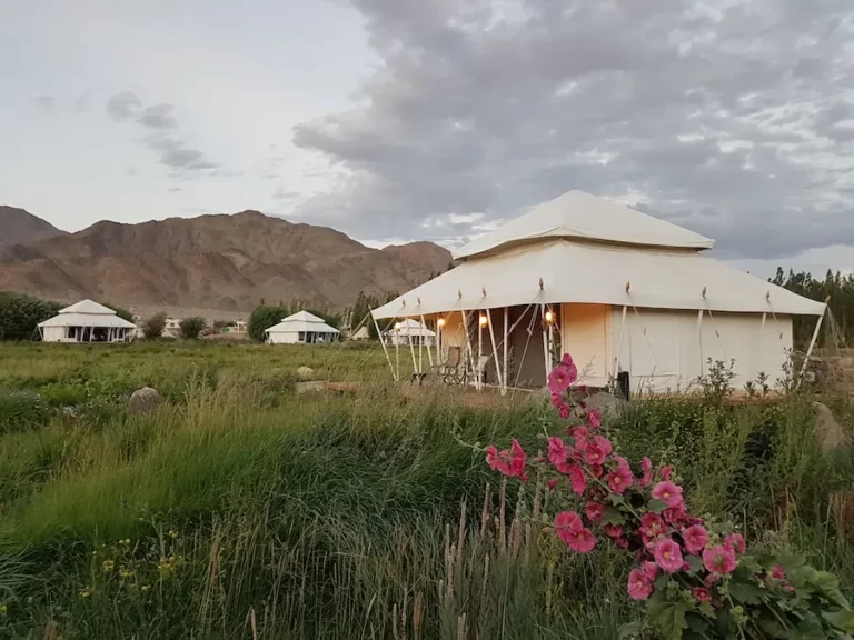 Read more about the article The Chamba Camp, Thiksey